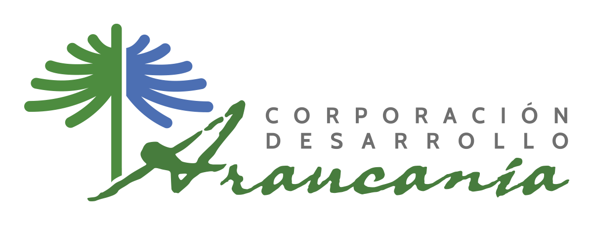 https://concurso.cdaraucania.cl/